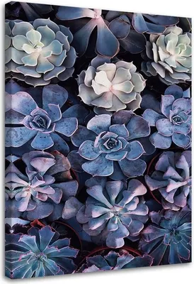 Produktbild von Leinwandbild shabby chic blumen natur 80x120 cm Feeby lila wandbild bereit zum aufhängen