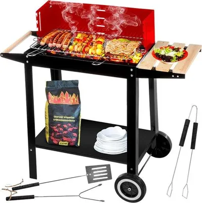 Image de Barbecue au charbon 50 cm x 26,5 cm, grille en acier inoxydable, roulettes de transport
