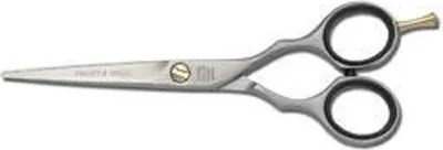 Image de Ciseaux Jaguar HS 6.0 82260 Pre Style Ergo