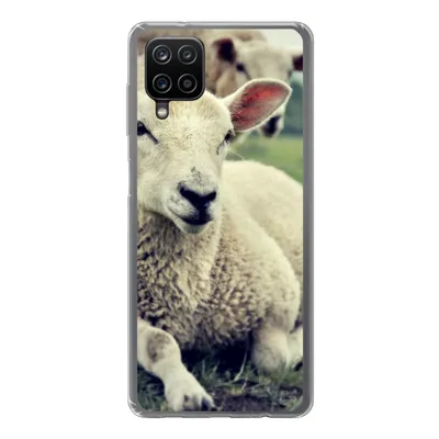 Produktbild von MuchoWow® Handyhülle Schutzhülle Hülle für Samsung Galaxy A12 Schaf - Lamm - Gras Silikon Softcase Handy Hülle - Bild
