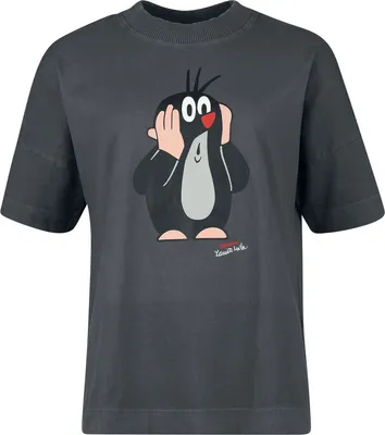 Produktbild von Der kleine Maulwurf Oversize T-Shirt Damen Der kleine Maulwurf - Oh Oh! - Oversize multicolor 3XL