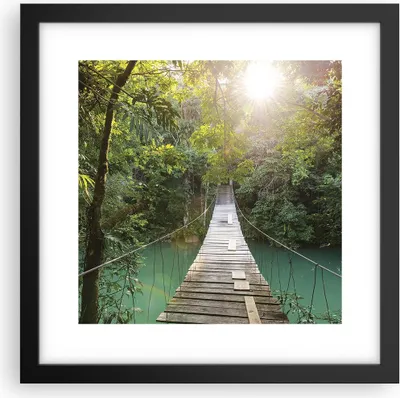 Produktbild von Gerahmtes Poster - Schwarzer Rahmen - Brücke Seil Dschungel - 30x30 cm - Wand Bild - Wanddeko - Wandbilder - Kunstposter - Wandposter - Bilderrahmen - Bilder - Kunstdruck - P2BAC30x30-4397