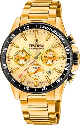Obrázek produktu pro Pánské náramkové hodinky Festina z nerezové oceli zlaté Elegant D2UF20634/6