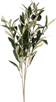 Produktbild von Clayre & Eef Kunstpflanze 55 cm Grün Kunststoff