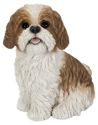 Image de Shih Tzu plus vrai que nature - XRL-SZ12-D