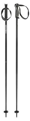 Immagine prodotto di Bastoncini da sci HEAD FRONTSIDE nero/bianco 2025/26 130cm
