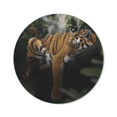 Produktbild von MuchoWow® Mauspad Mousepad Tiere - Tiger - Dschungel 40x40 cm - Mousepads - Maus Mat - Pad - Mausunterlage - Schreibtisch Accessoires