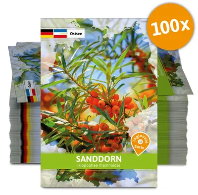 Produktbild von Sanddorn (Regionale Sorte Ostsee) (100 Tütchen) | Saatgut für Werbezwecke von FLORTUS
