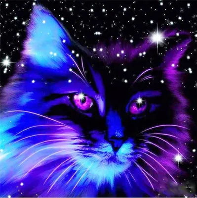Obrázok produktu pre Norimpex Diamant-Gemä lde 7D Sternenkatze 30x30cm