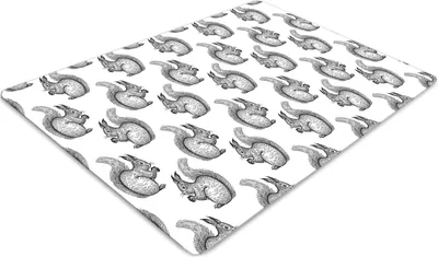 Produktbild von Stuhlunterlage Bürostuhlunterlage 120 cm x 90 cm Bodenmatte Bürostuhlunterlage - Eichhörnchenmuster