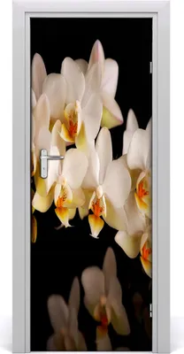 Produktbild von Tulup Türaufkleber 75x205 cm Dekorative Aufkleber Selbstklebend Wasserdichte Tapete Abnehmbar Schlafzimmer Wohnzimmer Wohnkultur - Orchideenen