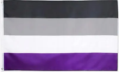 Obrázek produktu pro LGBT VELKÁ duhová vlajka 90x150cm ASEXUALITY F10