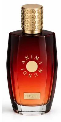 Produktbild von Anima Mundi Secrets od Angient Times Triskell Parfum 75ml