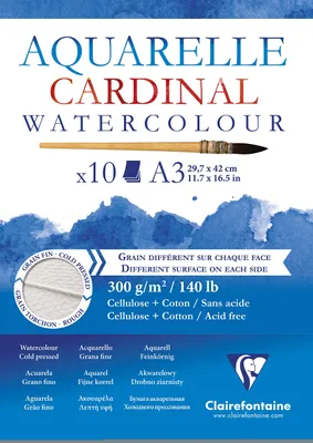 Produktbild von Clairefontaine 3329680961843, Kunstpapier, 300 g/m², 10 Blätter