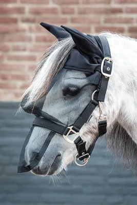 Produktbild von Harry`s Horse Fliegenmaske mit integriertem Halfter, mit Ohren und Nasenteil in C/S