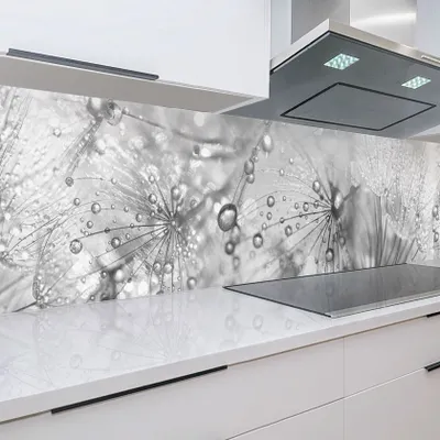 Produktbild von Küchenrückwand Pusteblumen 60 x 200 cm, robuste ABS-Kunststoff Platte Monolith mit Direktdruck, grau