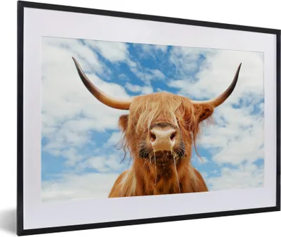 Produktbild von MuchoWow® Gerahmtes Poster Schottischer Highlander - Kuhkopf - Hörner 60x40 cm - Poster mit Schwarzem Bilderrahmen Wandposter Rahmen Foto Bilder - Schlafzimmer - Plakat in Rahmen - Drucken