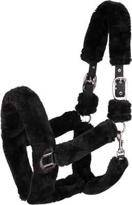 Produktbild von Waldhausen Cozy Halfter Schwarz Pony Schwarz Pony