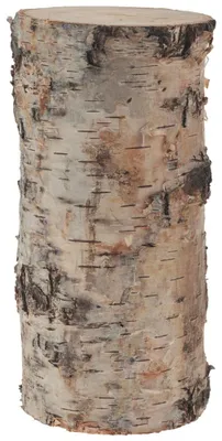 Immagine prodotto di Tronchi di betulla per decorazioni artigianali in 7 x 15 cm