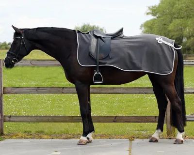 Produktbild von QHP Fleece-Ausreitdecke mit Ornament