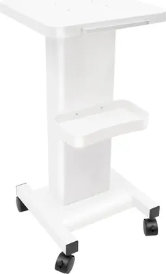 Obrázek produktu pro Mobilní kosmetický vozík – vozík pro kadeřnický salón – nosnost 60 kg – 4 kolečka, z toho 2 s brzdou – odkládací plošina 35 × 70 cm – bílý