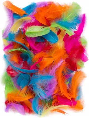 Produktbild von Dekofedern, Ornamental, BUNT, 5-12cm, 10g