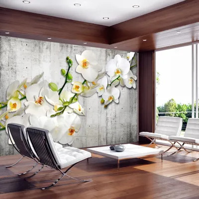Produktbild von Basera Fototapete Orchideenmotiv b-A-0157-a-b, Vliestapete, 250x175 cm