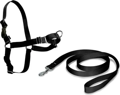 Image de PetSafe Harnais pour chien Easy Walk XL Noir