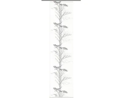 Produktbild von Schiebegardine Asbach grau 60x245 cm