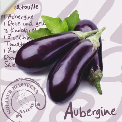 Produktbild von ARTland Wandbild, selbstklebend Aubergine Größe: 40x40 cm