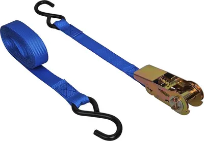 Productafbeelding van Proplus - Spanband, 5 meter met ratelmechanisme + 2 haken, blauw | 1 stuk