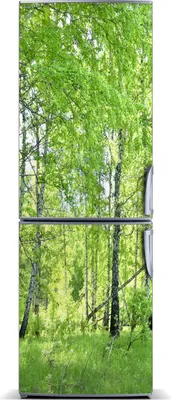 Produktbild von Tulup Kühlschrankdekoration - Magnetmatte - 60 cm x 180 cm - Magnet auf dem Kühlschrank - Birkenwald