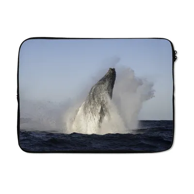 Produktbild von MuchoWow® Laptop Hülle 13 Zoll Wal - Wasser - Südafrika Laptoptasche - Laptophülle - Sleeve - Rundumschutz