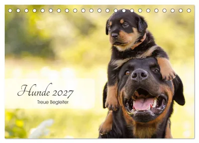 Produktbild von Hunde 2027 - Treue Begleiter (Tischkalender 2027 DIN A5 quer), CALVENDO Monatskalender