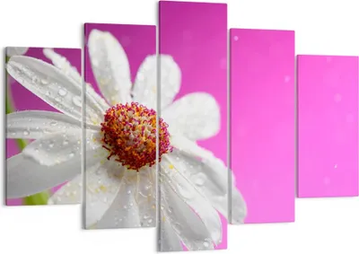 Produktbild von Bild auf Leinwand - Leinwandbild - Blume frühling garten - 150x100cm - Wand Bild - Wanddeko - Leinwanddruck - Bilder - Kunstdruck - Wanddekoration - Leinwand bilder - Wandkunst - EA150x100-2469