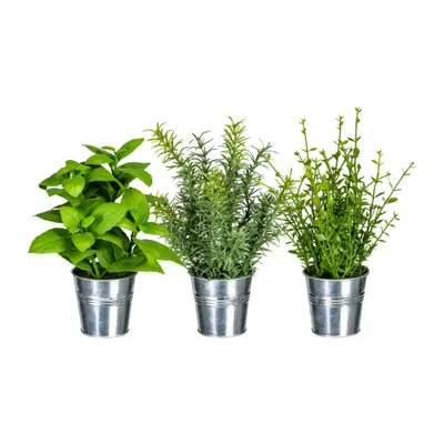 Produktbild von 3er Set künstlicher Kräuter, Kräutermix H. 23-26cm grün im Zinktopf GASPER