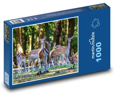 Obrázek produktu pro Puzzle 1000 Příroda - divoká zvěř - martinpuzzle