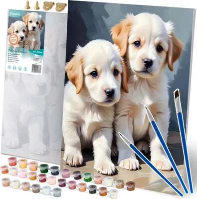 Image de Peinture par numéros 40x50 cm Massido Puppies