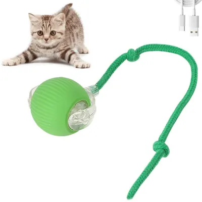 Interaktiver Rollball für Katzen & Hunde, USB-aufladbar, grün