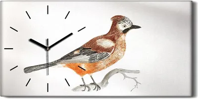 Produktbild von Wandbild Leinwand Bilder Wanduhr 60x30 Zeichnung Tier Vogel Zweig Kunst - schwarze Hände