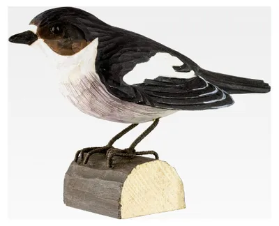 Produktbild von DecoBird Trauerschnäpper - Handgeschnitzter dekorativer Vogel aus Holz - Kleine europäische Vögel