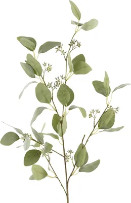 Produktbild von Fink EUKALYPTUSZWEIG, Kunstblume, Kunstfasern, grün, L. 140 cm, B. 8 cm, H. 8 cm 188122