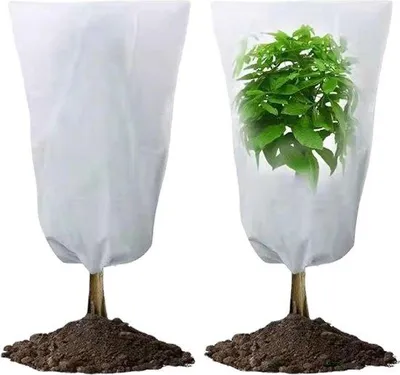 Produktbild von Famanu Pflanzenwinterschutz 2 Stück - 80 x 120 cm, atmungsaktiv, wiederverwendbar
