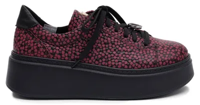 Obrázok produktu pre Maciejka Obuv 6191W15008