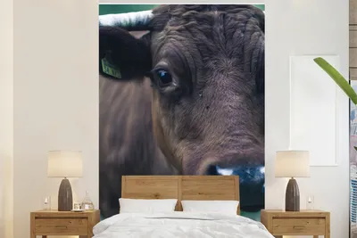 Produktbild von MuchoWow® Fototapete für Wohnzimmer oder Schlafzimmer Wandtapete Vinyl Motivtapete Tiere - Kuh - Auge - 155x240 cm - Tapete