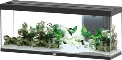Produktbild von Aquarium aquatlantis Splendid 300 inkl. Beleuchtung, Filter schwarz