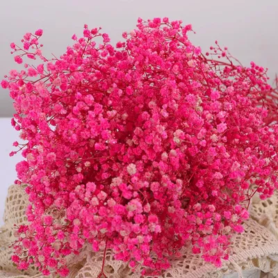 Trockenblumenstrauß Schleierkraut, 2000+ rosa, 43 cm