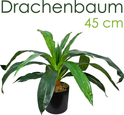 Produktbild von Decovego Künstlicher Drachenbaum, Kunstpflanze, 45 cm, tropische Deko für Wohn- & Büroräume, Allergikerfreundlich & Pflegeleicht