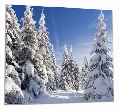 Produktbild von Wallario Herdabdeckplatte aus Glas, Größe 60 x 52 cm 2-teilig, Motiv Wanderweg im Schnee