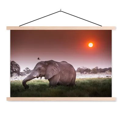 Produktbild von MuchoWow® Textilposter Elefant - Gras - Sonne - Tiere 60x40 cm mit holzfarbenen Rahmen - Bilder